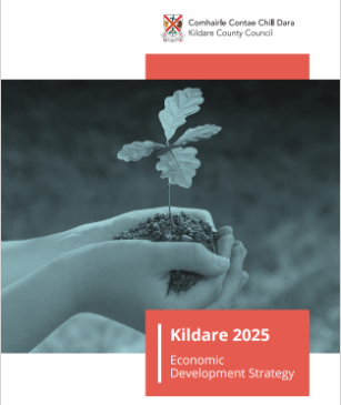 Kildare 2025 Economic Development Strategy